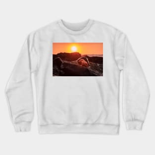 Orange Starfish and Sunset Crewneck Sweatshirt